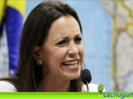 María Corina Machado: El G4 es un cártel que utiliza el interinato para repartirse dinero